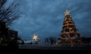 Photo non classée, 5 sur 44, bouton