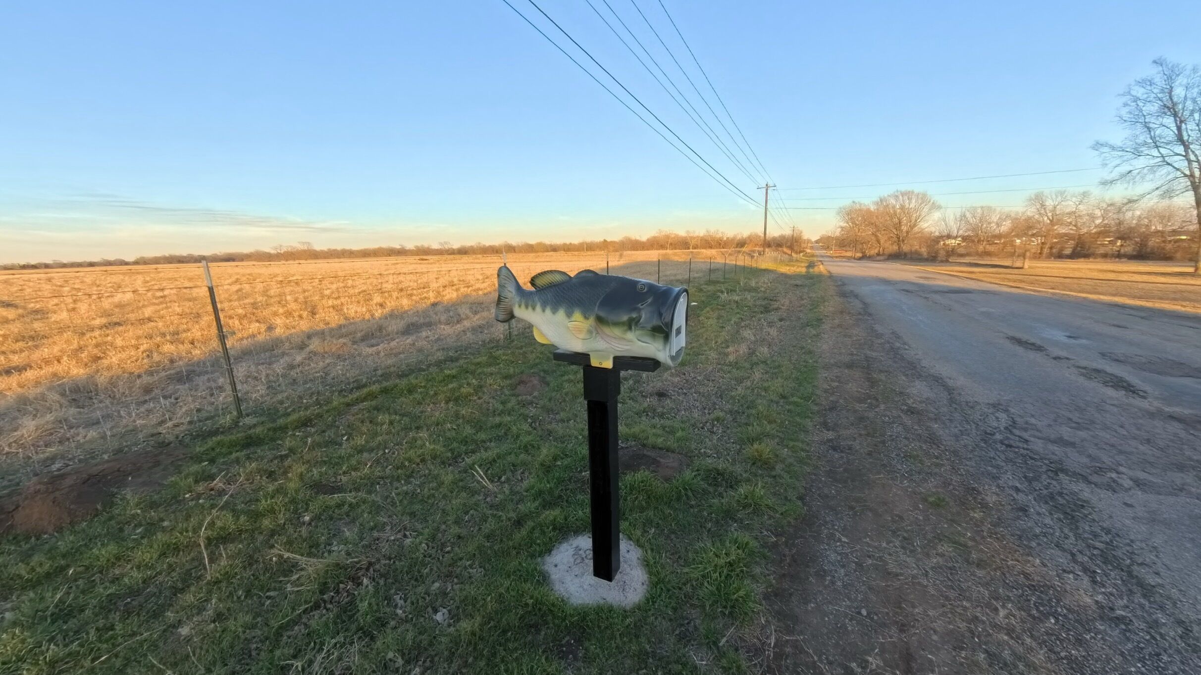 A mailbox with a fish design, located on a grassy area beside a road.