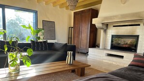 A living room with a fireplace, a sofa, a coffee table, and a plant. - House on the Champagne Route - 1h10 from Paris (Crézancy)