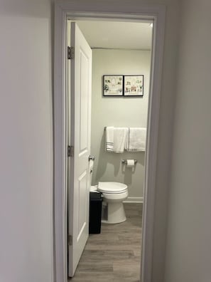 A narrow hallway leading to a bathroom with a toilet, a trash bin, and two framed pictures on the wall.