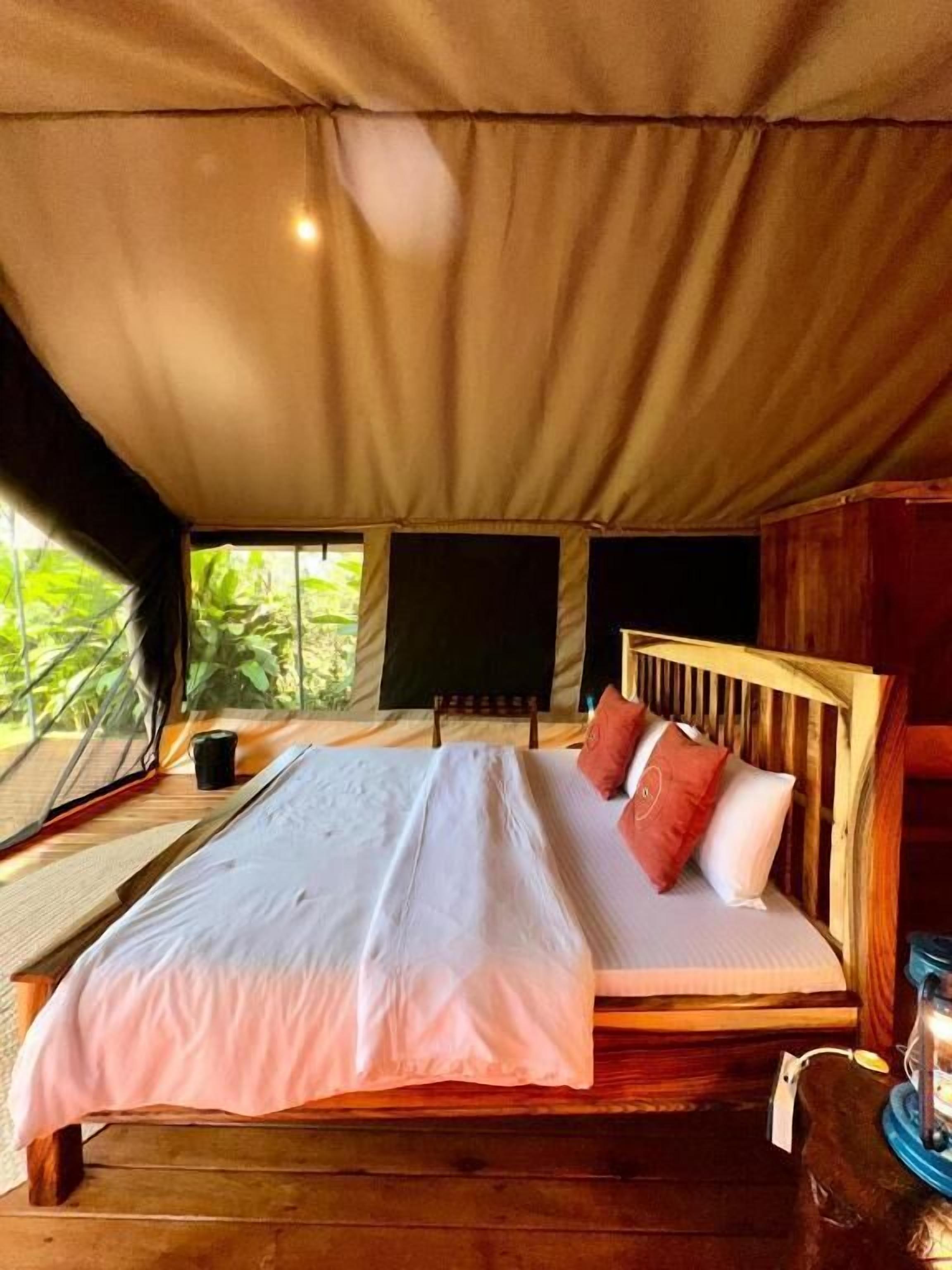 Deluxe Single Room, Mountain View | In-room safe, desk, laptop workspace, blackout drapes