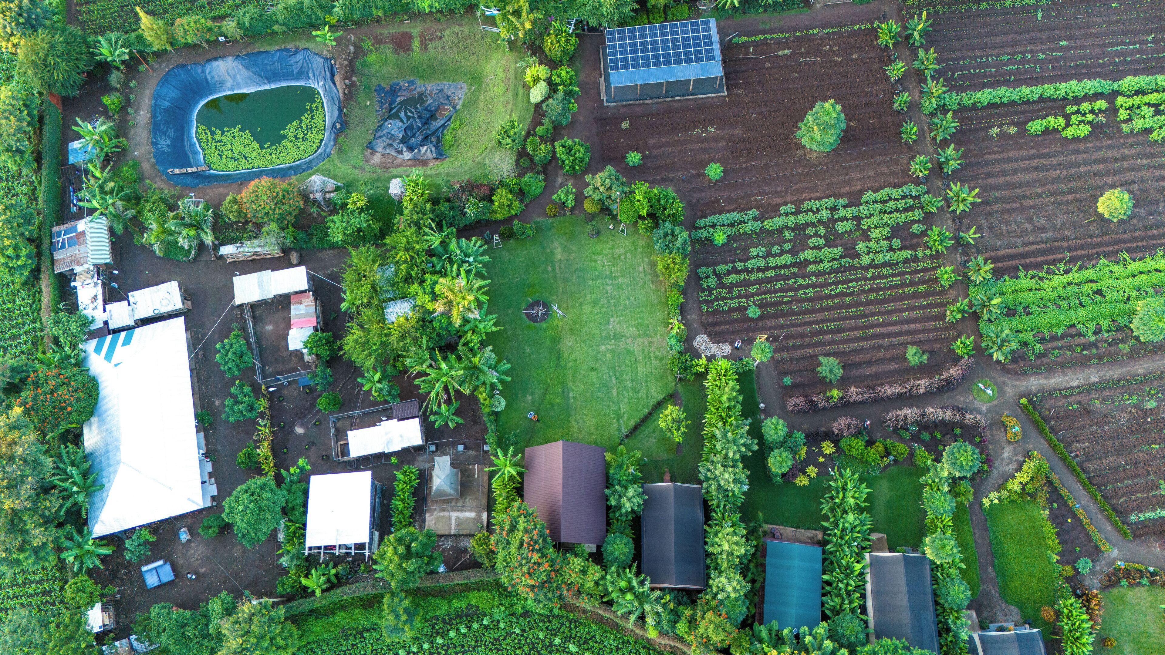 Vue aérienne d’une ferme comprenant différents bâtiments, notamment un étang, des panneaux solaires et plusieurs serres.
