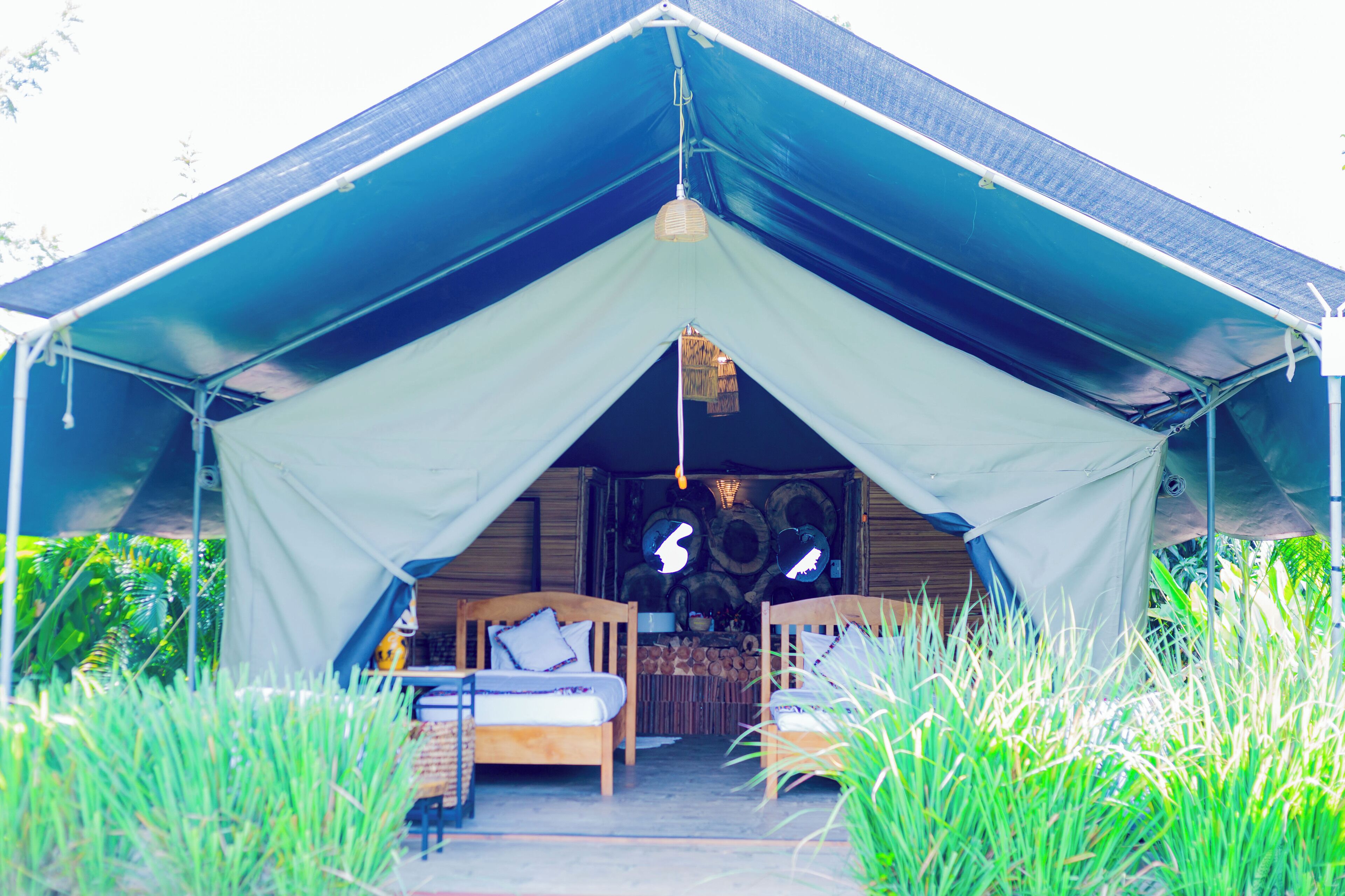 Standard Twin Room | Terrace/patio