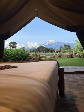 Couples treatment room(s), Turkish bath/hammam, body treatments