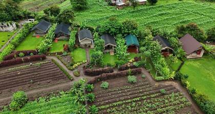 Kibo View Farm Lodge