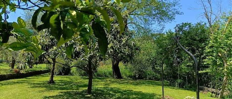 A well-maintained garden with a stone fountain, lush greenery, and a clear blue sky.