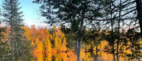 Terrain de l’hébergement
