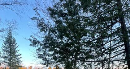 Big Narrows Lakeside Cottage