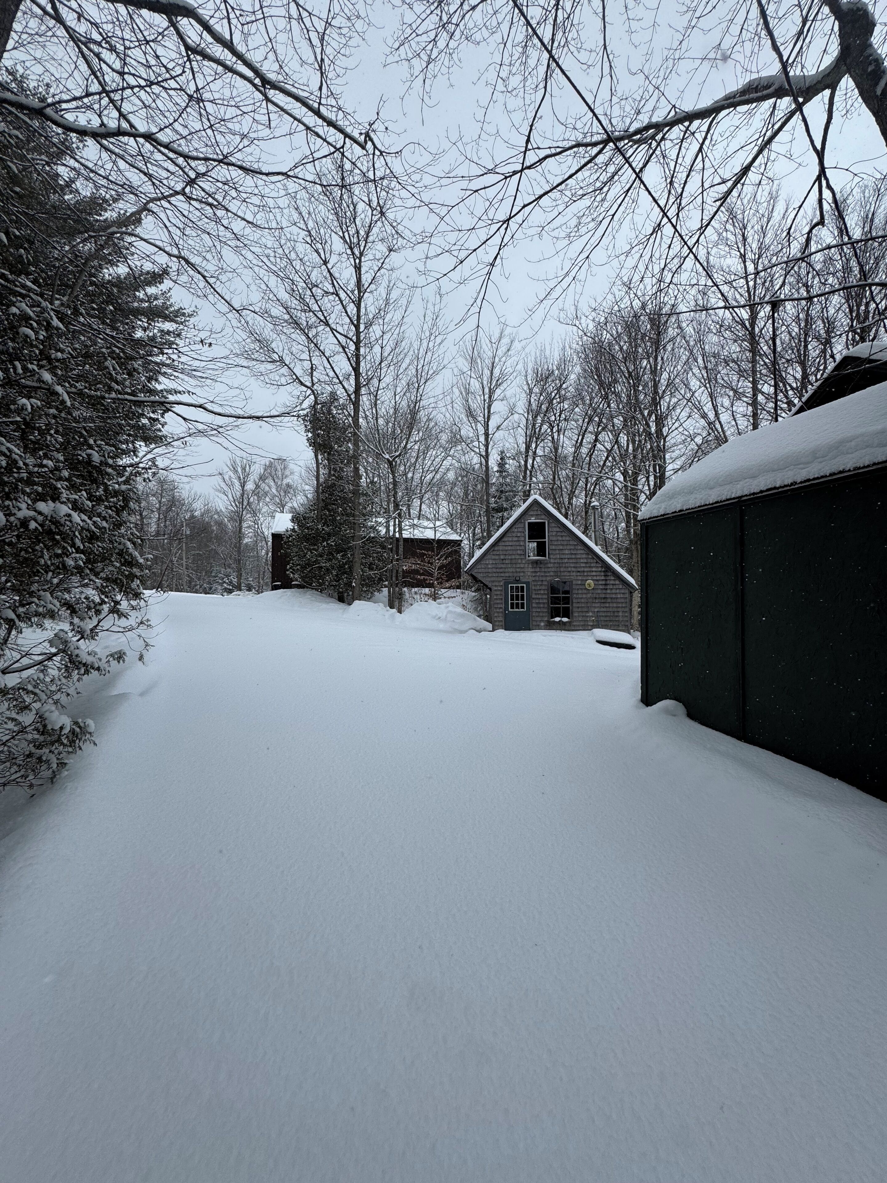 A snow-covered yard with a wooden house and a shed.
