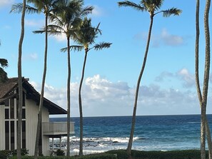 A beachfront property with a balcony overlooking the ocean, palm trees, and a building with a sloped roof. - Oceanfront End Unit, Lanai Steps from the Sand, Pool & Pickleball -Unit 3 (Koloa)