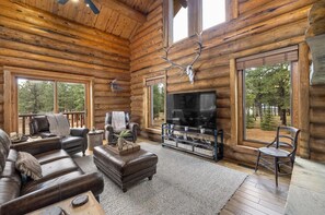 Télévision, cheminée