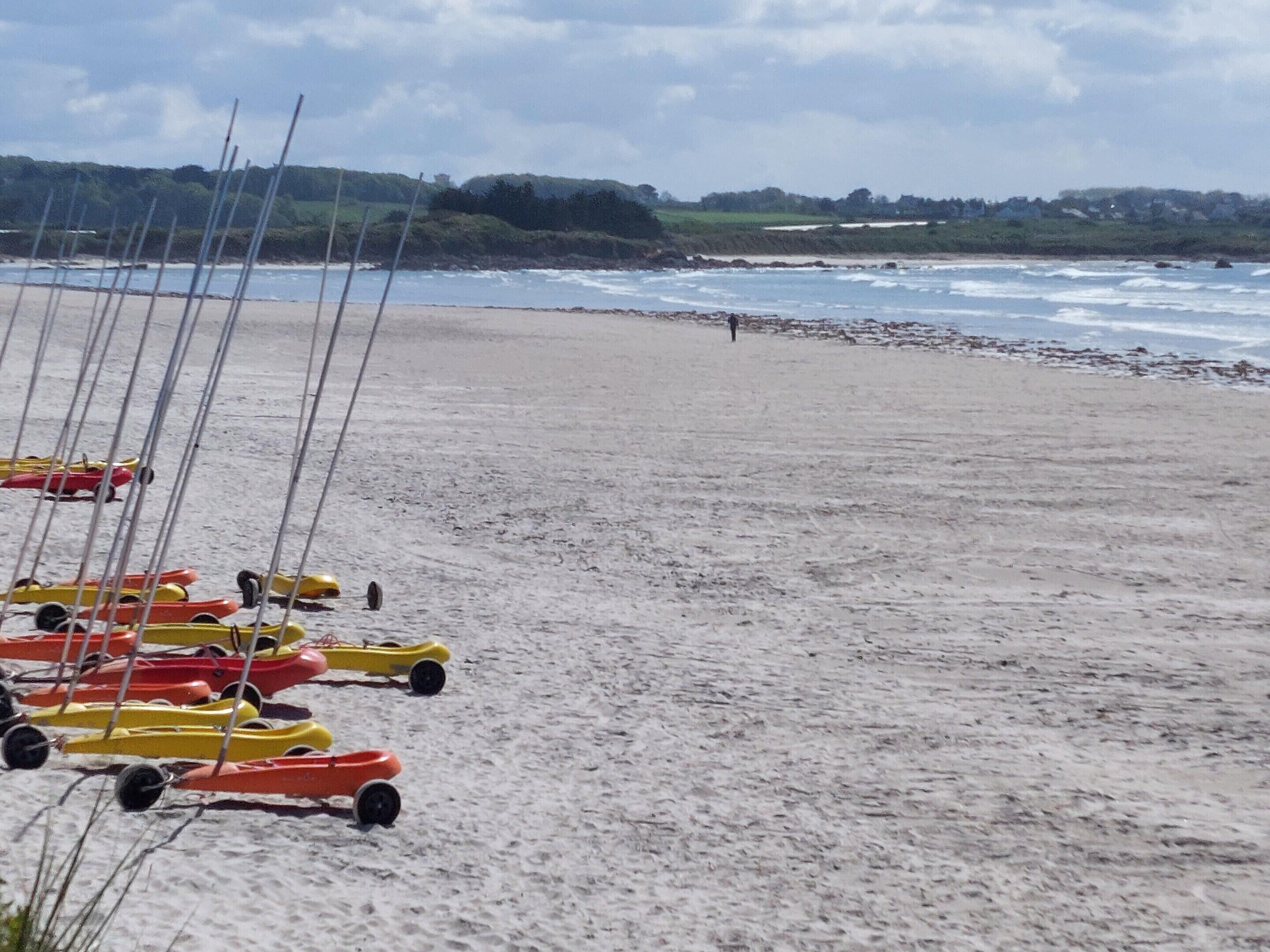 A beach with rows of small, colorful pedal boats lined up on the sand.
