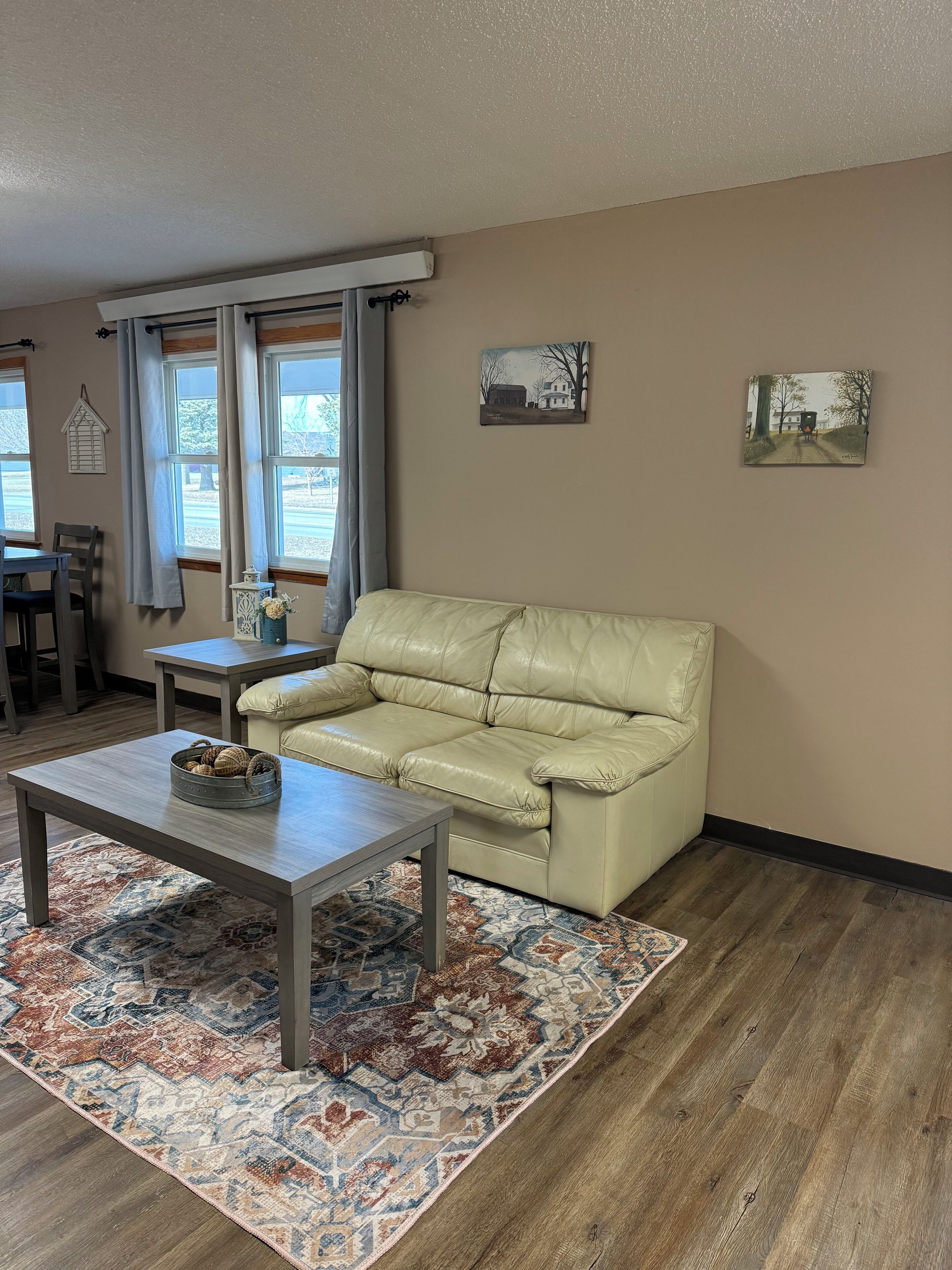 Smart TV, DVD player, books