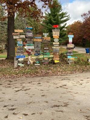 A collection of directional signs on a tree, each pointing to different destinations.