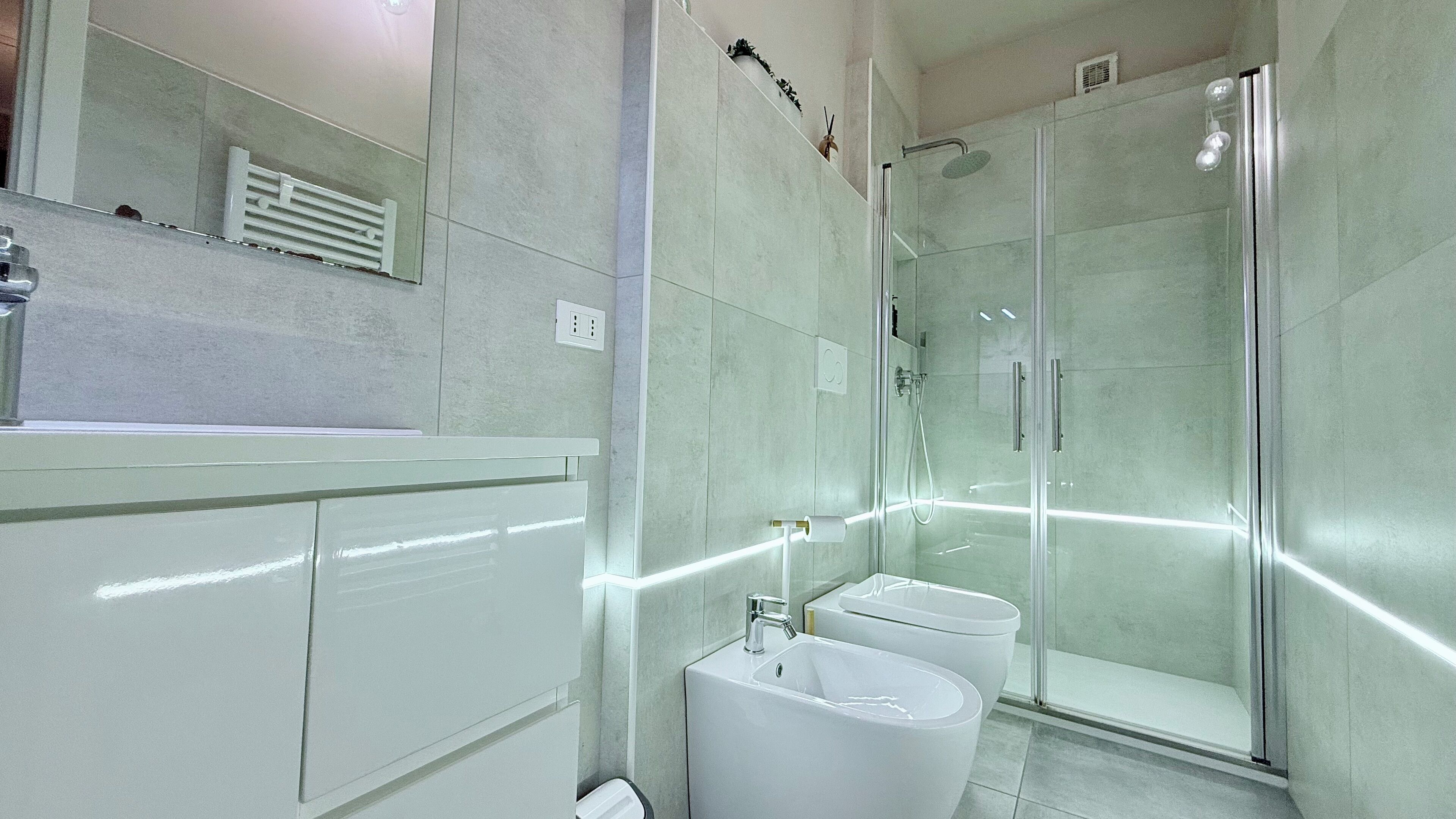 Shower, hair dryer, bidet, towels