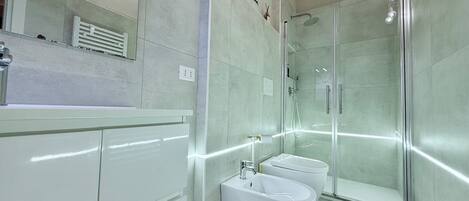 Shower, hair dryer, bidet, towels