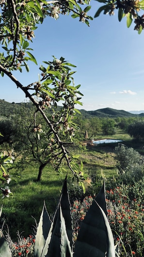 Un paysage avec une branche d’arbre au premier plan et une vue lointaine d’un lac entouré de collines.