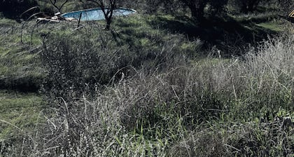 Off grid Casa Rural MOZa LUZe