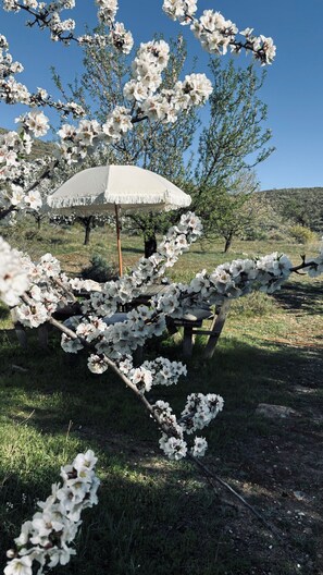Un arbre aux fleurs blanches, un banc en bois et un parasol blanc.
