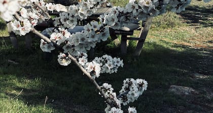 Off grid Casa Rural MOZa LUZe