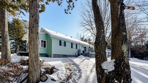 Une maison verte avec une cour et des arbres couverts de neige.