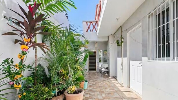 A narrow, tiled corridor with potted plants and a white wall. - Luna de Plata (Playa del Carmen)
