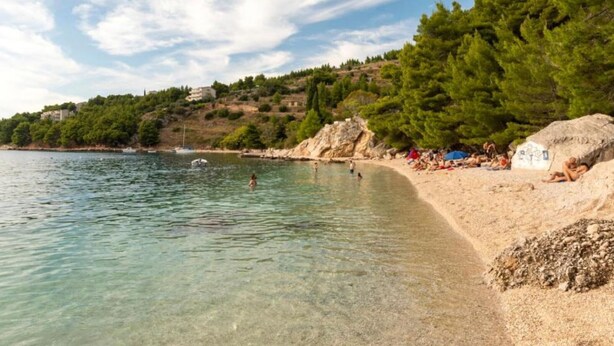 Ein Strand mit klarem Wasser, sandigem Ufer und einer Kulisse aus Bäumen und Hügeln.