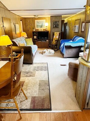 Room - Cozy Retro Lakefront Hideaway (Bean Station)