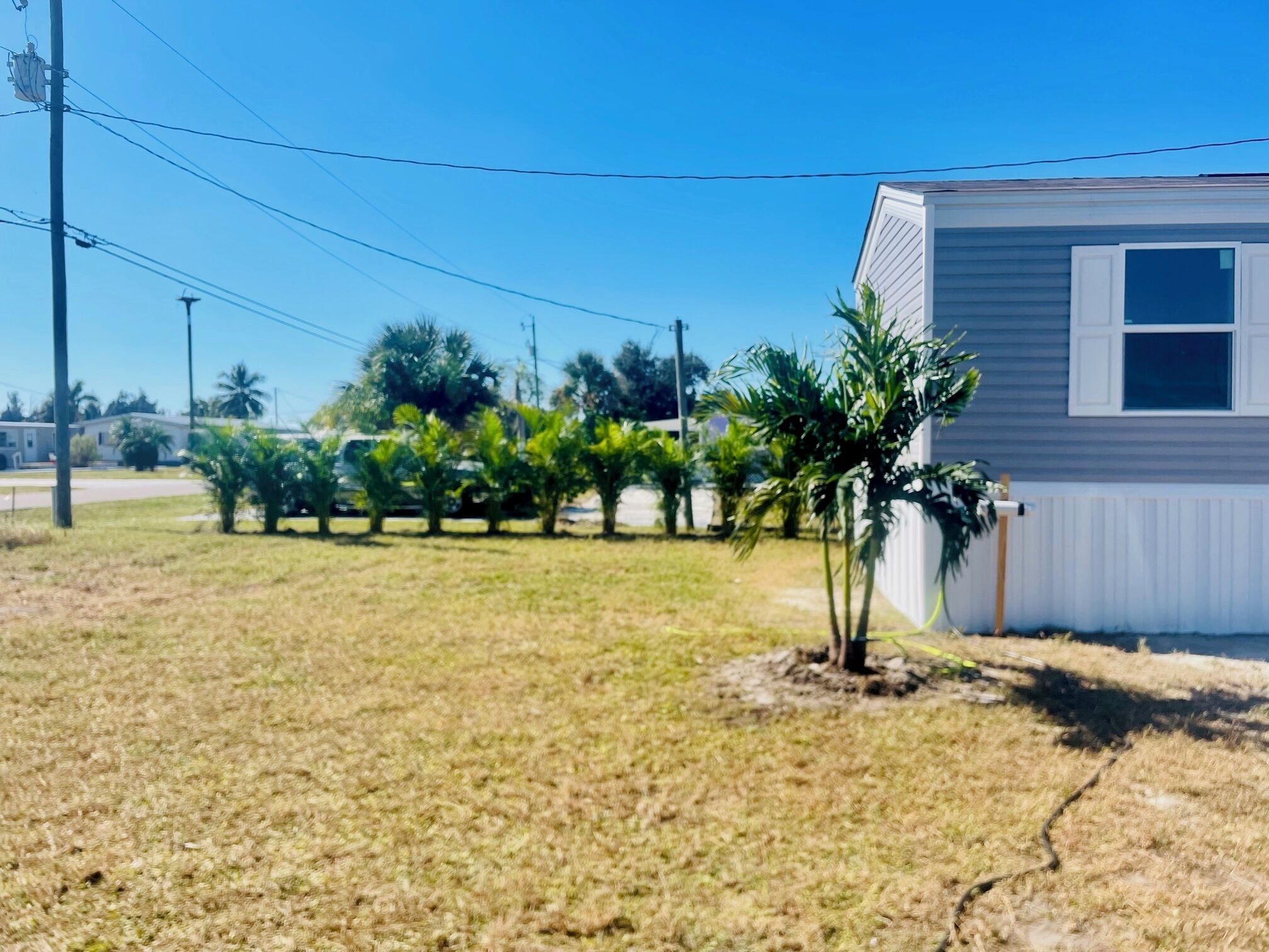 A single-story house with a small front yard, a palm tree, and a clear blue sky.