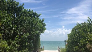 Un sentier sablonneux menant à une plage, bordée de chaque côté d’une végétation luxuriante.