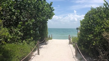 Beach nearby, sun-loungers, beach towels