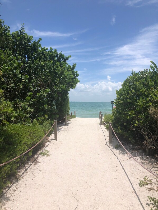 Plage à proximité, chaises longues, serviettes de plage