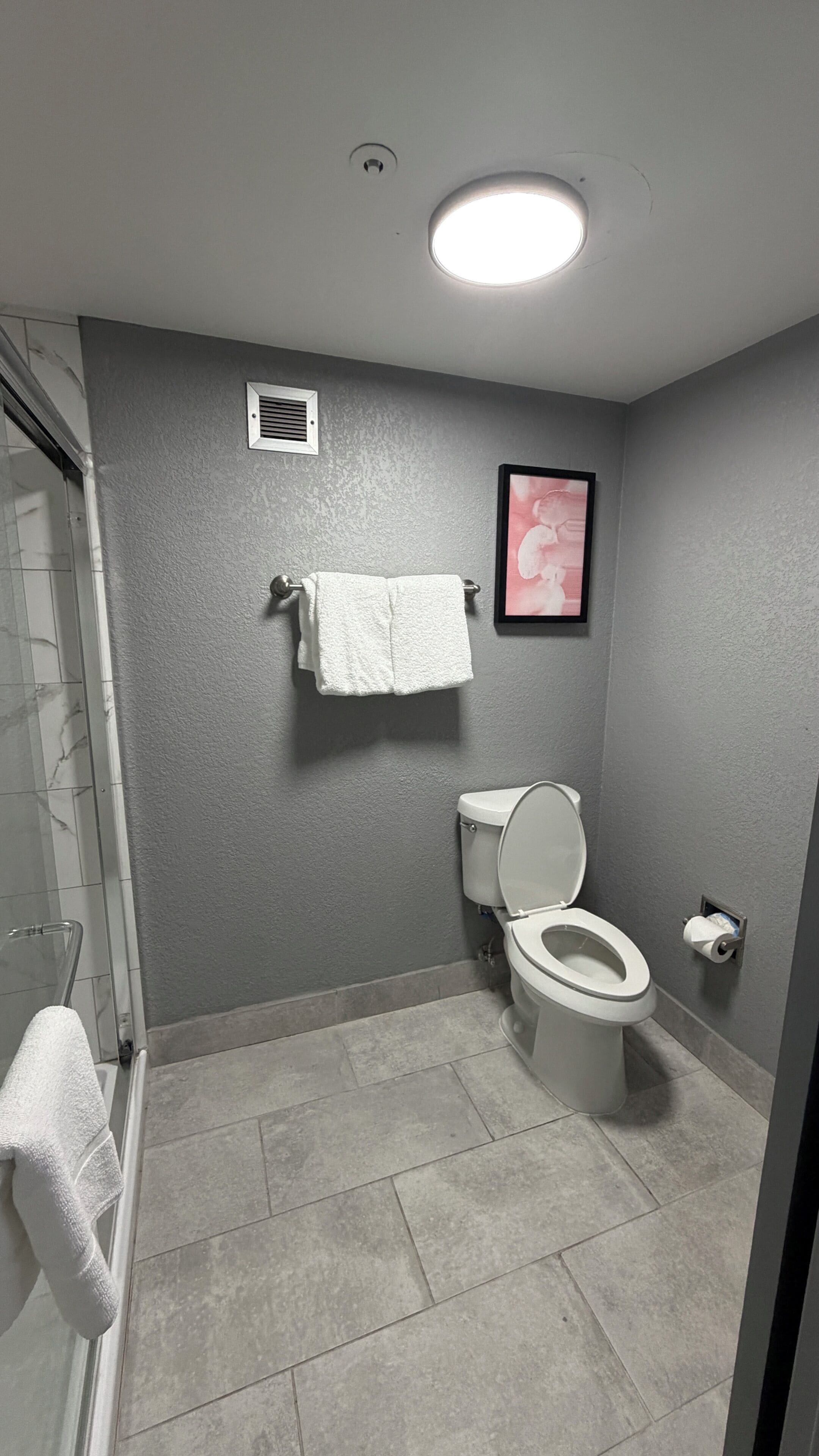 Un bagno con un water, una doccia, un portasciugamani e un quadro appeso al muro.