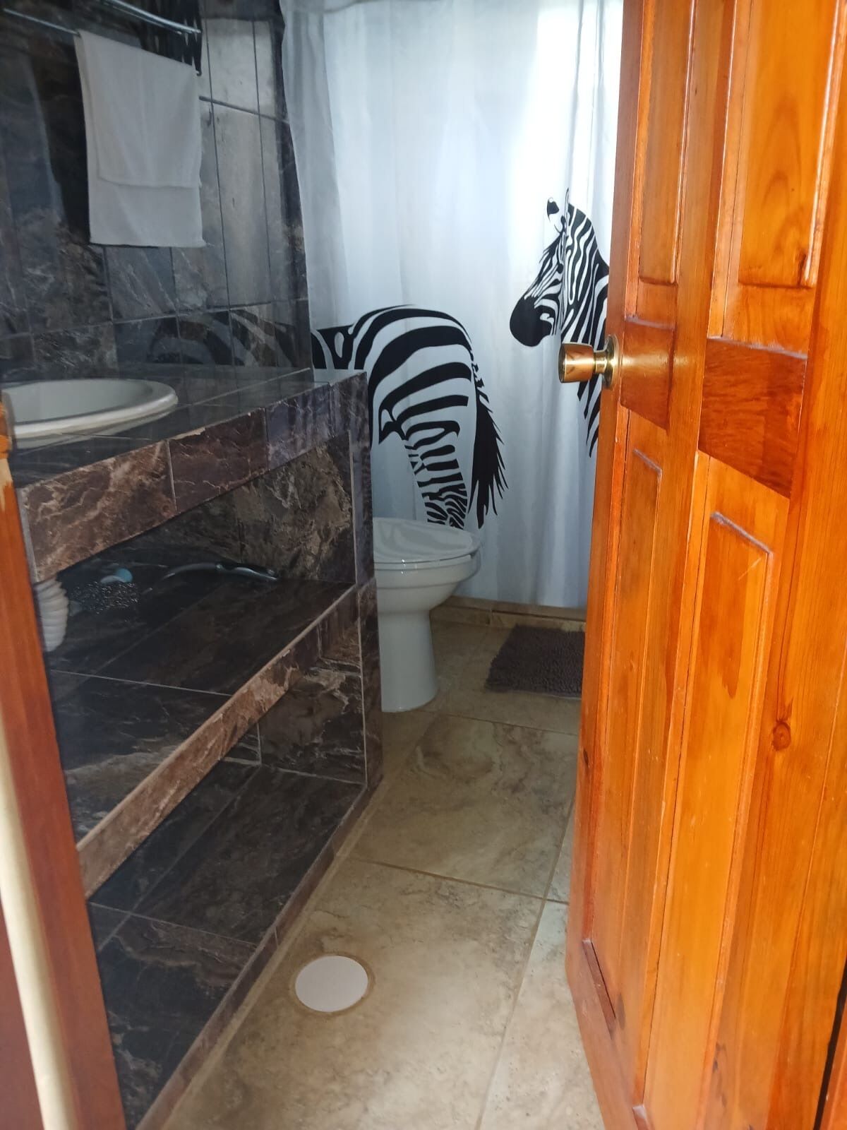 Shower, towels, soap, toilet paper