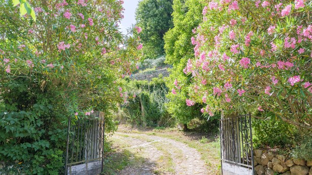 A pathway leading through a garden with a stone wall and metal gate. - La Cupinoise Gite in Ardèche Nature, Terrace & Valley View (Antraigues sur Volane)
