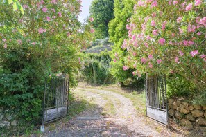 A pathway leading through a garden with a stone wall and metal gate. - La Cupinoise Gite in Ardèche Nature, Terrace & Valley View (Antraigues sur Volane)