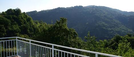 Terrain de l’hébergement