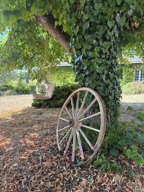 A rustic wooden wheel partially covered by ivy, set on a leaf-strewn ground with a garden backdrop. - La Palette Rossignol: Swimming pool, spacious rooms & private bath in Occitanie (Belvèze)