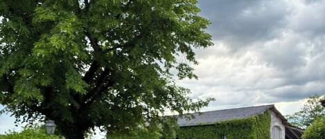 Área da propriedade