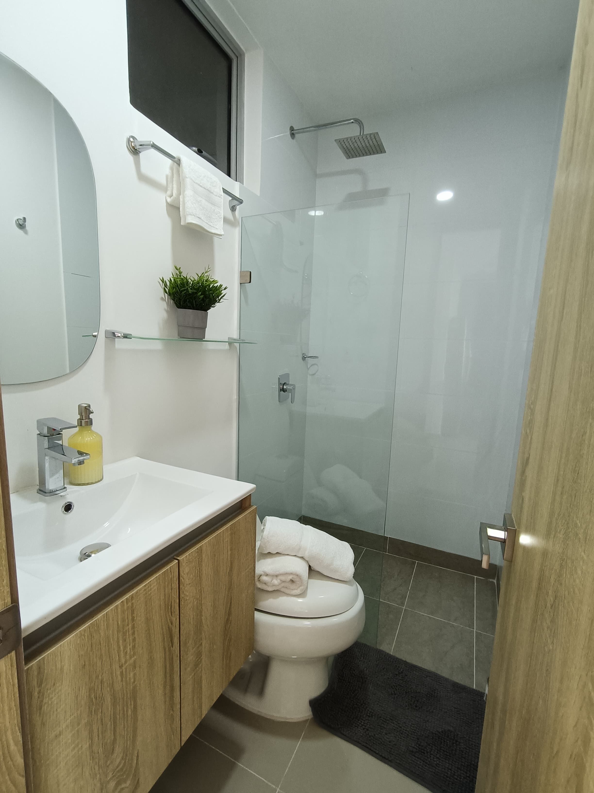 Casa de banho moderna com lavatório branco, espelho e sanita. Inclui cabine de duche em vidro e uma planta num vaso no lavatório.