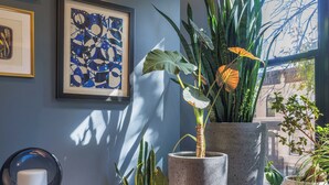 Unclassified image, 5 of 44, button - Modern Furnished 2BR Bushwick Duplex w/ 2 Private Terraces 1 Block from L Train (Brooklyn)