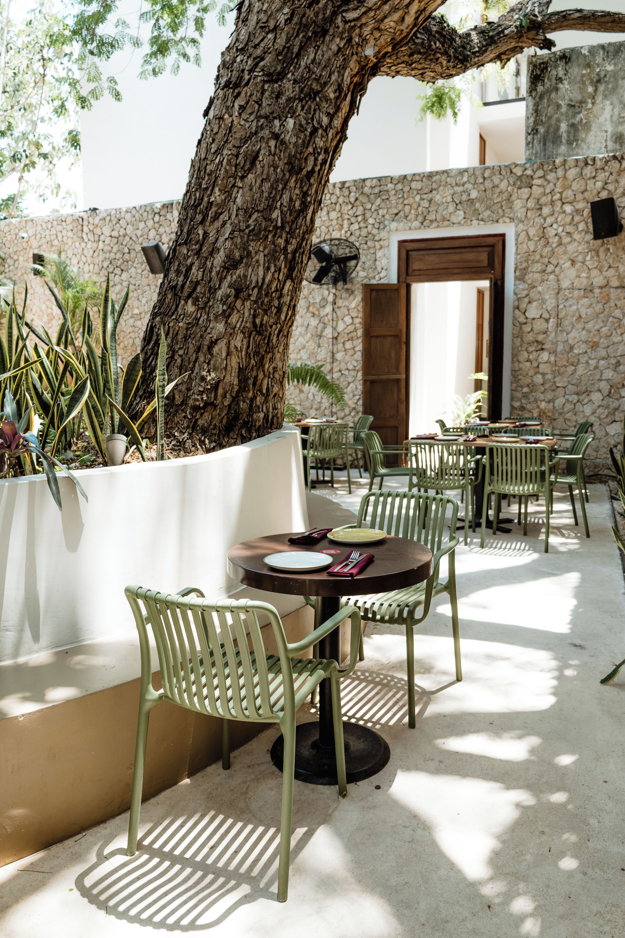 Un espace extérieur aménagé avec des tables et des chaises, un grand arbre et un mur en pierre.