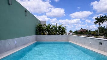 Outdoor pool, sun loungers