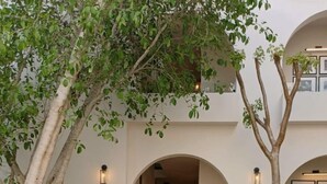 A courtyard with a central fountain, surrounded by water lilies and a large tree. - Hotel Serenata Santa Lucia, Mérida (Mérida)