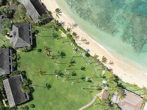Vista aérea de un resort con playa, palmeras y un campo de golf.