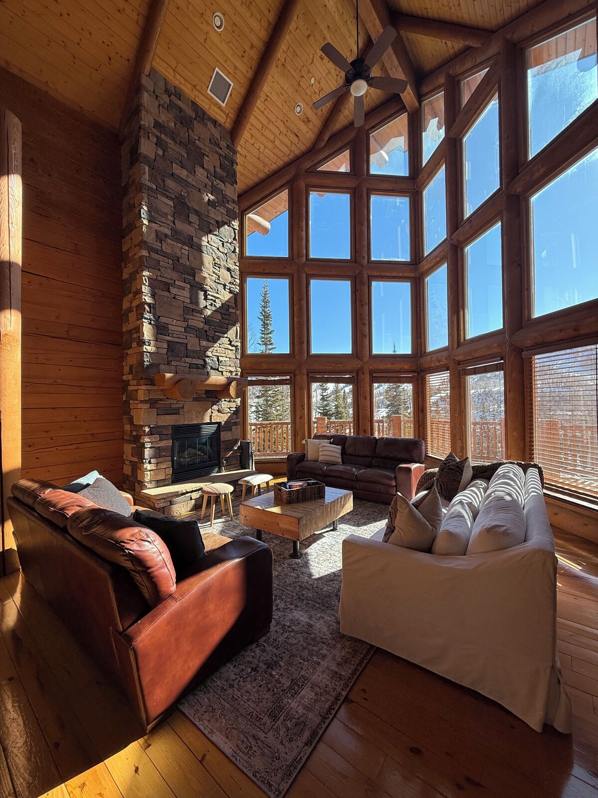 Imagen de perfil del propietario o de la propietaria