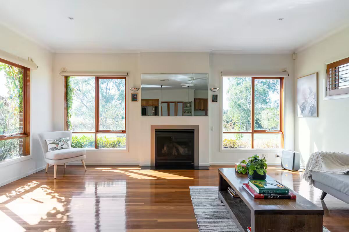 智能電視、壁爐、電子遊戲、書籍