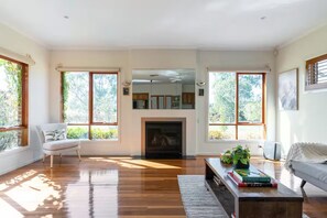 TV connectée, cheminée, jeux vidéo, livres