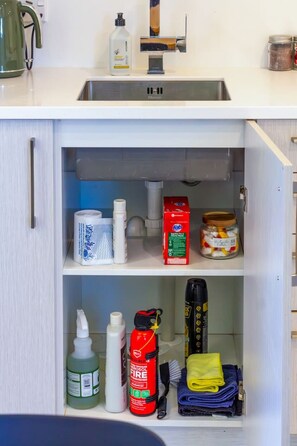 Interior - Walk to Hagley Park | EV Charger | 3 Bed 3 Bath (Christchurch)