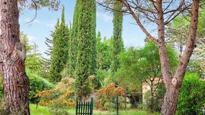 Ein Garten mit hohen Bäumen, einem Holzzaun und einem Gebäude im Hintergrund.